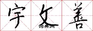 宇文善怎么写好看