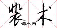 裴术怎么写好看