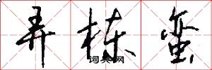 弄栋蛮怎么写好看