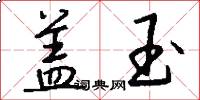 盖玉怎么写好看