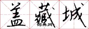 盖藏城怎么写好看