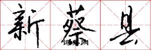 新蔡县怎么写好看
