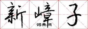 新嶂子怎么写好看