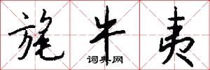 旄牛夷怎么写好看