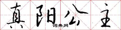 真阳公主怎么写好看