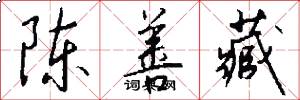 陈善藏怎么写好看