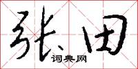 张田怎么写好看
