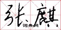 张麒怎么写好看