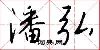 潘弘怎么写好看