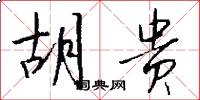胡贵怎么写好看