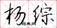 杨综怎么写好看