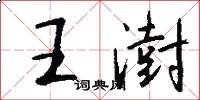 王澍怎么写好看