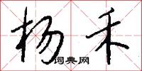 杨禾怎么写好看