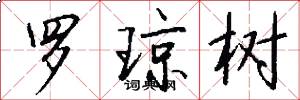 罗琼树怎么写好看