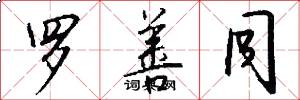 罗善同怎么写好看