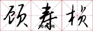 顾寿桢怎么写好看