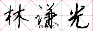 林谦光怎么写好看