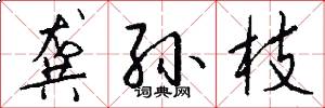 龚孙枝怎么写好看