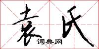袁氏怎么写好看