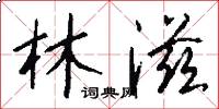 林滋怎么写好看