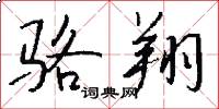 骆翔怎么写好看