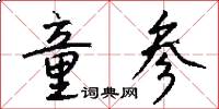 童参怎么写好看