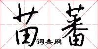 苗蕃怎么写好看