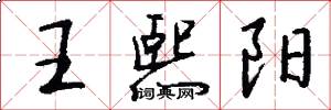 王熙阳怎么写好看