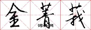 金菁莪怎么写好看