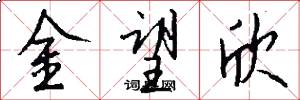 金望欣怎么写好看