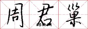 周君巢怎么写好看