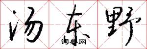 汤东野怎么写好看