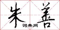 朱善怎么写好看