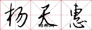 杨天惠怎么写好看