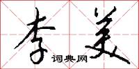 李美怎么写好看