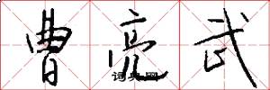 曹亮武怎么写好看