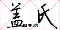 盖氏怎么写好看