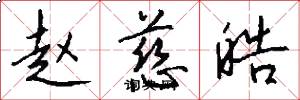 赵慈皓怎么写好看