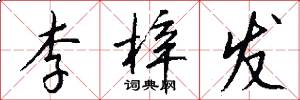 李梓发怎么写好看
