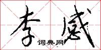 李感怎么写好看