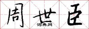 周世臣怎么写好看