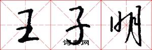 王子明怎么写好看