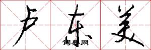 卢东美怎么写好看