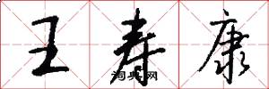 王寿康怎么写好看