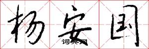 杨安国怎么写好看