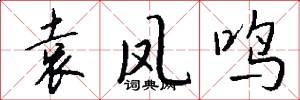 袁凤鸣怎么写好看