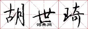 胡世琦怎么写好看