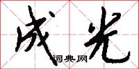 成光怎么写好看
