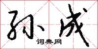 孙成怎么写好看