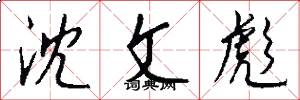 沈文彪怎么写好看